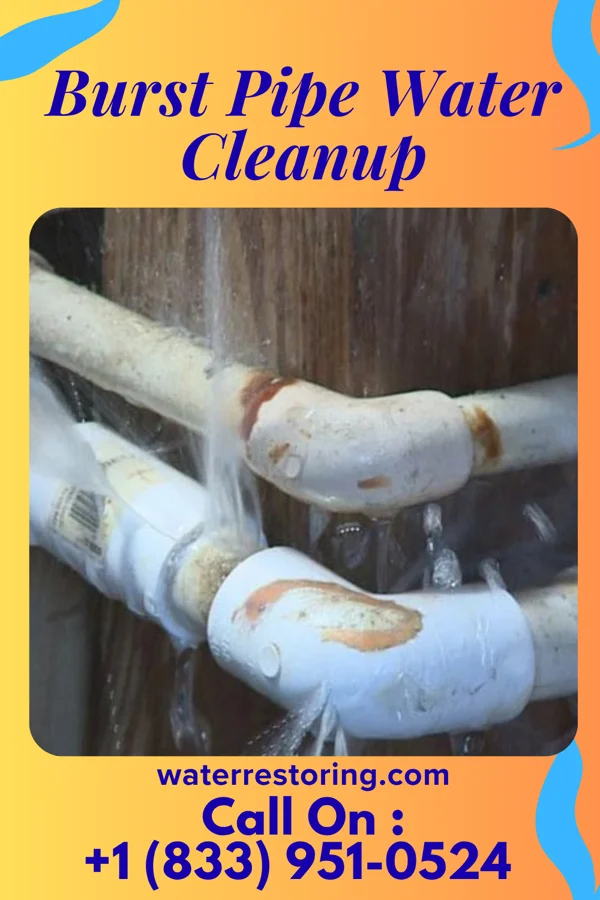 Burst Pipe Water Cleanup in Beckemeyer, IL