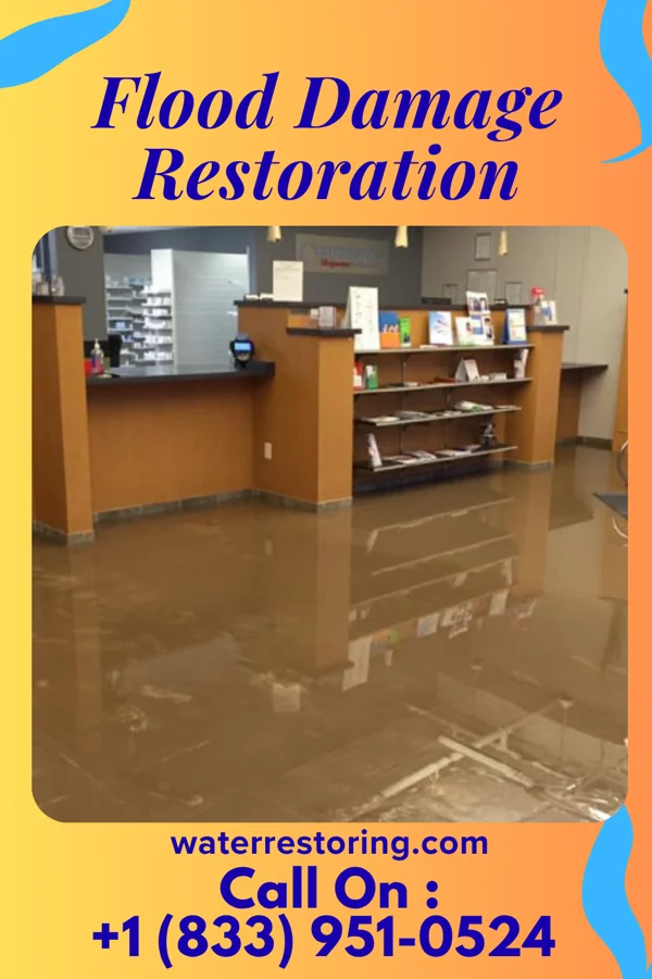Flood Damage Restoration in Beckemeyer, IL