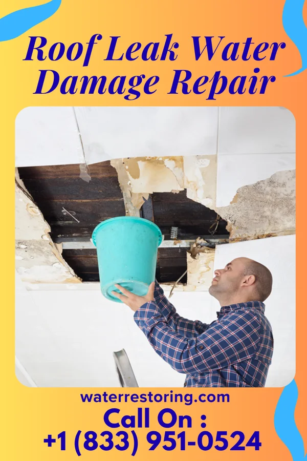 Roof Leak Water Damage Repair in Beckemeyer, IL