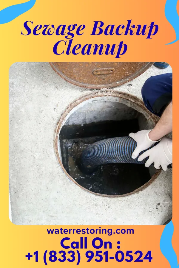 Sewage Backup Cleanup in Beckemeyer, IL
